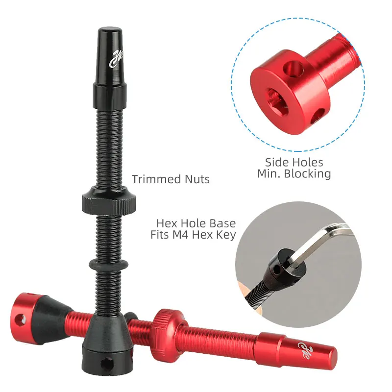 Bicycle F/V Tubeless Valve 44  - Tubeless Valve Core ulasan dan harga